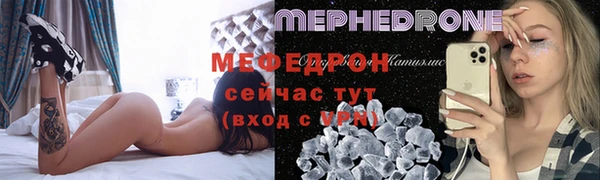 мдпв Гусев