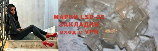 мдпв Гусев