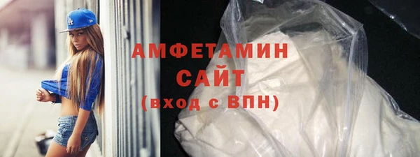 мдпв Гусев