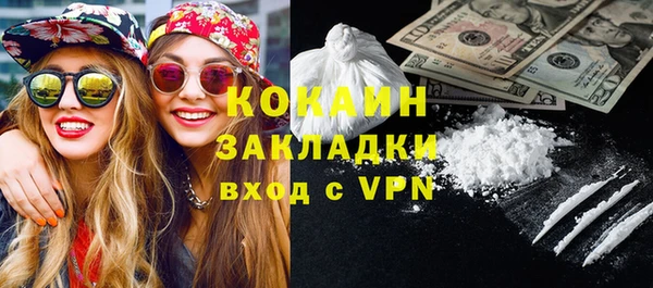 мдпв Гусев