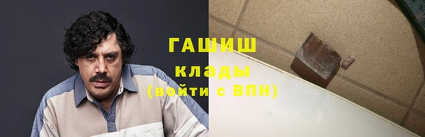мдпв Гусев
