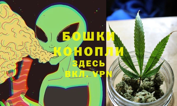 трава Анжеро-Судженск