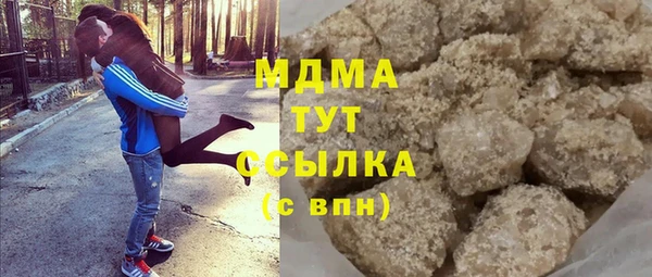 мдпв Гусев
