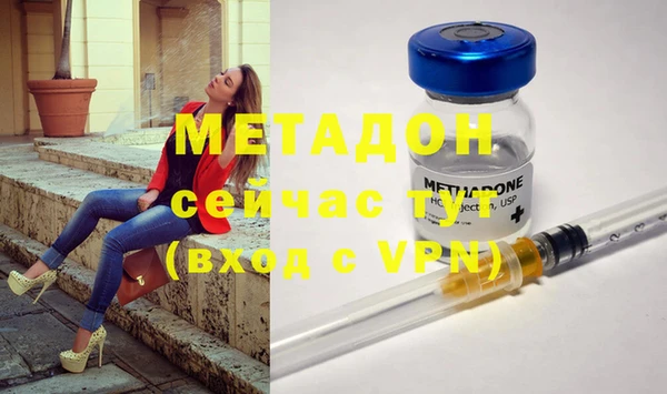 мдпв Гусев