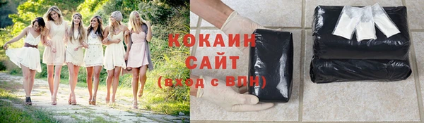 мдпв Гусев