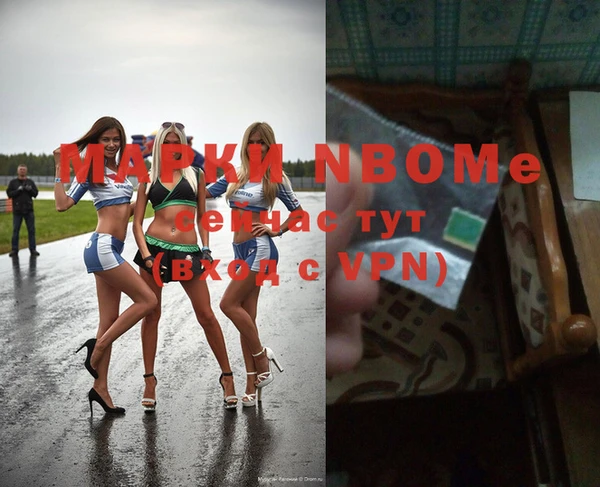 мдпв Гусев