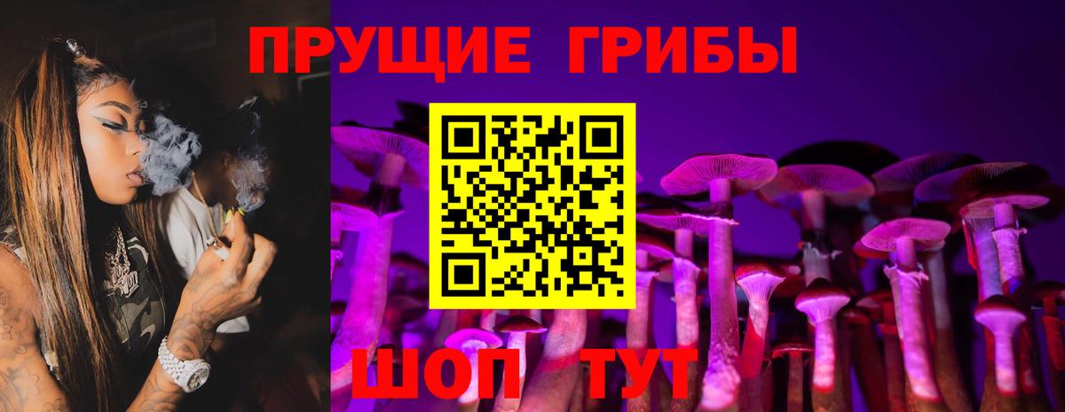 закладка  Вход с VPN  Псилоцибиновые грибы прущие грибы  Зеленогорск  Псилоцибиновые грибы Psilocybe 
